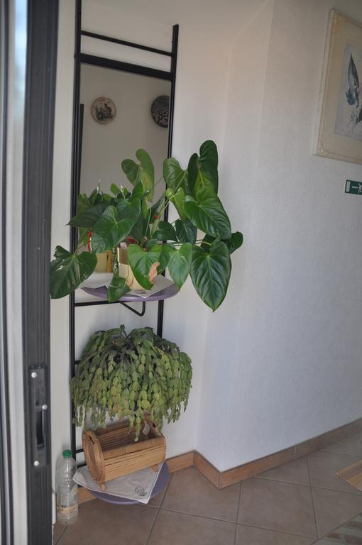 Franko Apartmani Zambratija  Bagian luar foto