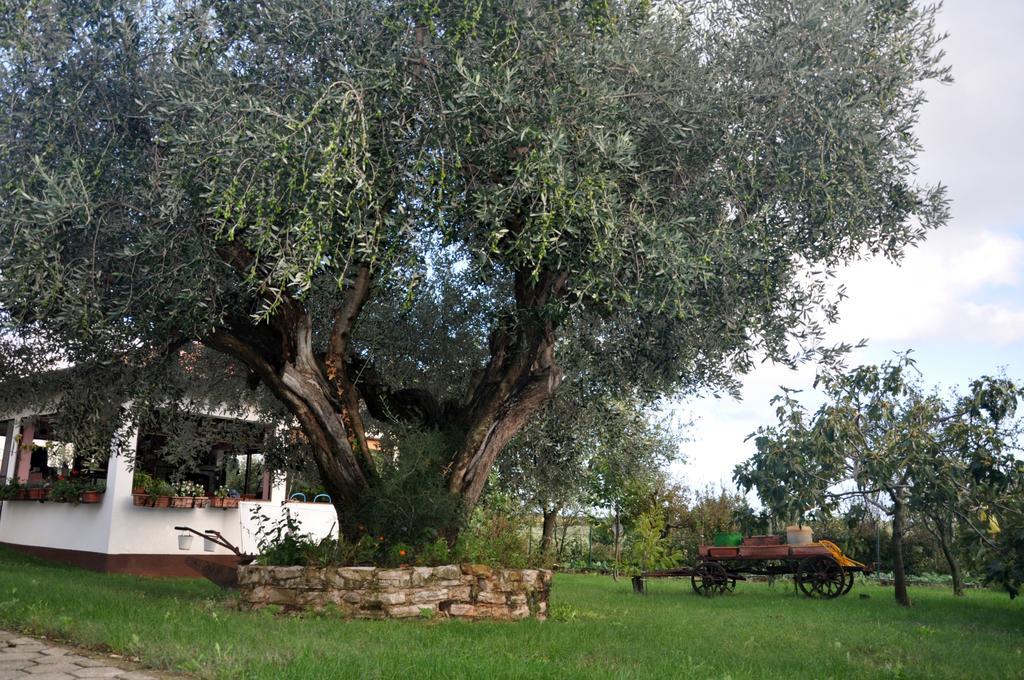 Franko Apartmani Zambratija  Bagian luar foto