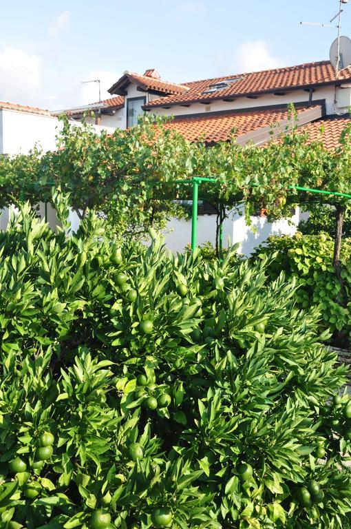 Franko Apartmani Zambratija  Bagian luar foto
